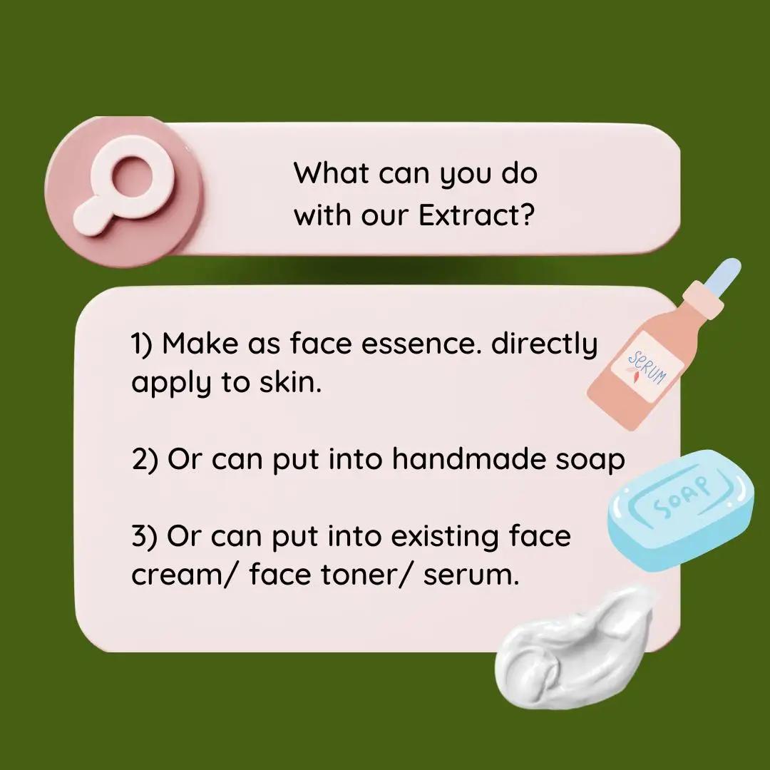 Extrait de Soapberry de Haute  - Hair Care For Hair Loss avis et prix