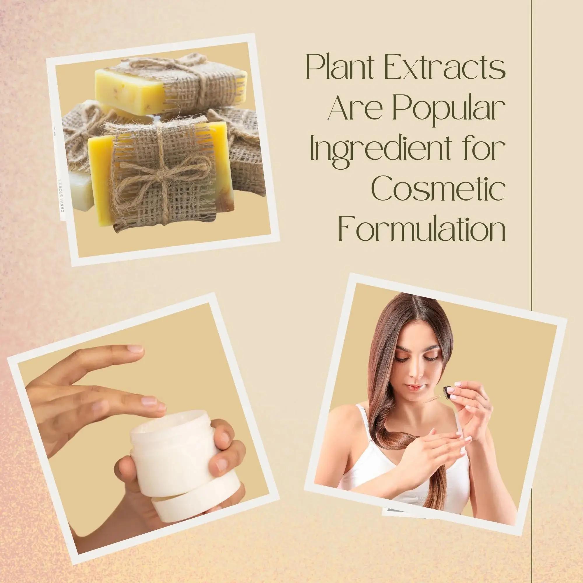 Extrait de Soapberry de Haute  - Hair Care For Hair Loss avis et prix